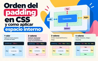 Orden del padding en CSS y como aplicar espacio interno