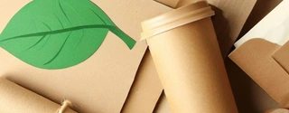Top Eco-Friendly Paper Products of 2023: A Comprehensive Review
