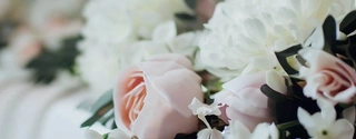 Best Wedding Decorations for 2023: Ultimate Review