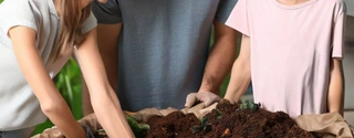 2023 Guide: Choosing Best Compostable Bags for Kitchen Waste