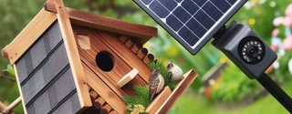 2024 Smart Bird Feeder Reviews: Comparing for the Perfect Gift!
