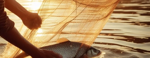 Best 5 Fishing Nets in 2023: A Complete Review for Your Ideal Net