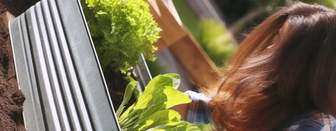2023 Galvanized Raised Garden Beds: Which to Buy for Your Plants?
