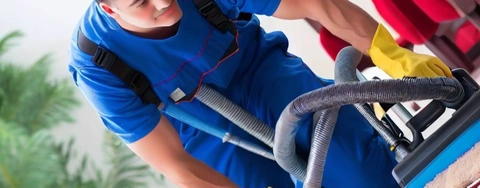 Ultimate Review: Which Pet Carpet Cleaner to Buy for Your Home