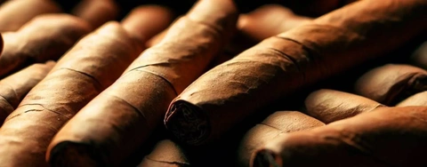 Ultimate Guide to Choosing the Perfect Cigar Cooler Humidor in 2023