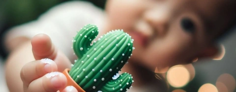 2024 Guide: Top 5 Talking Cactus Toys for Mimicking and Singing