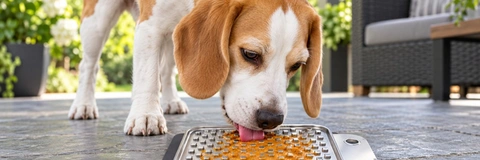 Top Stainless Steel & Silicone Pet Lick Mats Compared for 2026