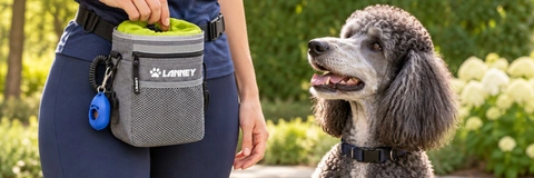 Top Dog Treat Pouches Compared: Best Choices for Training in 2026