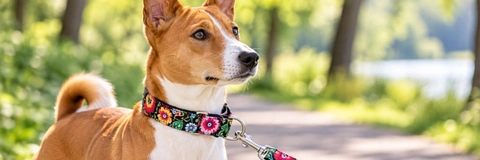 Best Martingale Dog Collars Compared: Find Your Perfect Fit in 2026