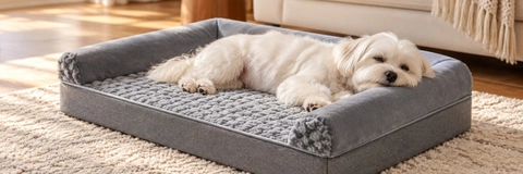 Best Orthopedic Dog Beds Compared: 5 Top Picks Reviewed for 2026