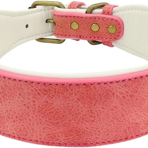 Click to view QERTYHKK Wide Leather Dog Collar Padded for Medium and Large Dogs