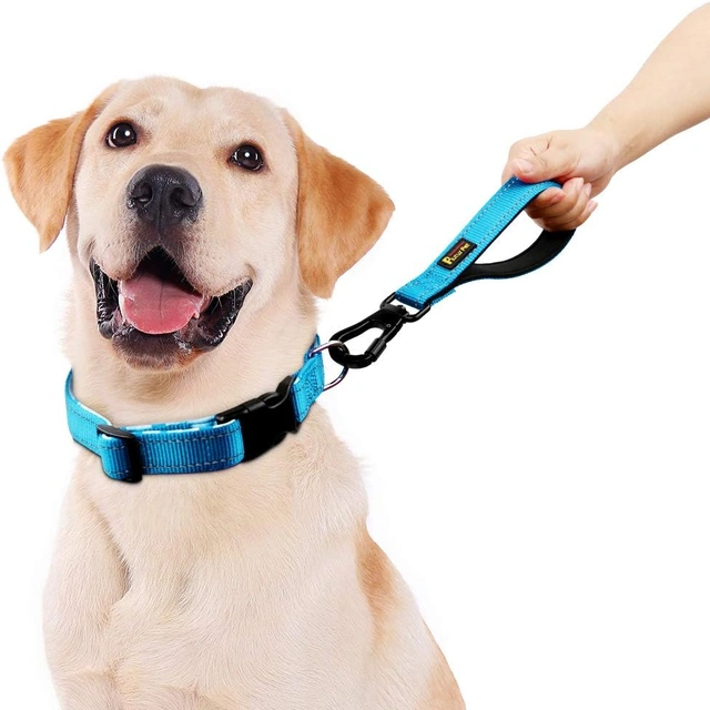 Click to view ## PLUTUS PET 10” Short Dog Leash, Reflective Nylon Padded Handle, Blue