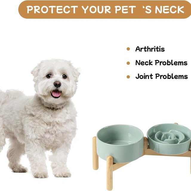 Click to view Havniva Elevated Slow Feeder Dog Bowls, 6.1 in Ceramic Set for Small Breeds