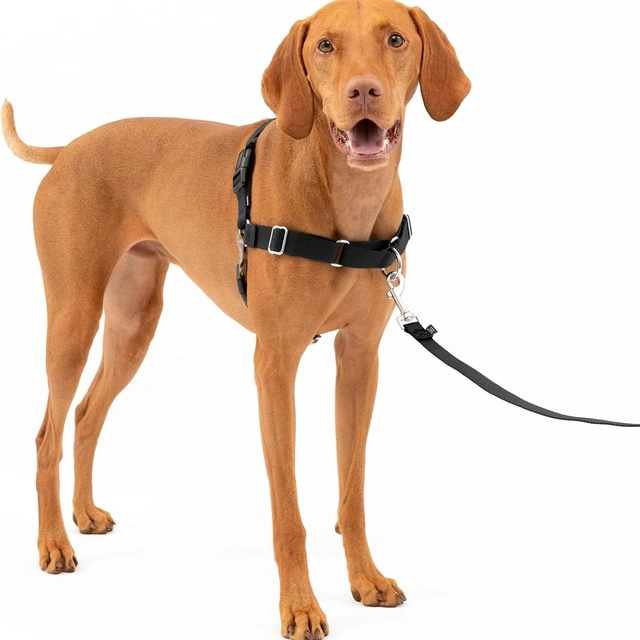 Click to view PetSafe Easy Walk Harness No Pull Dog Harness Black Medium