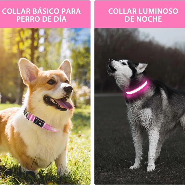 Click to view ## PcEoTllar Light-Up Dog Collar, Adjustable, Pink, Large