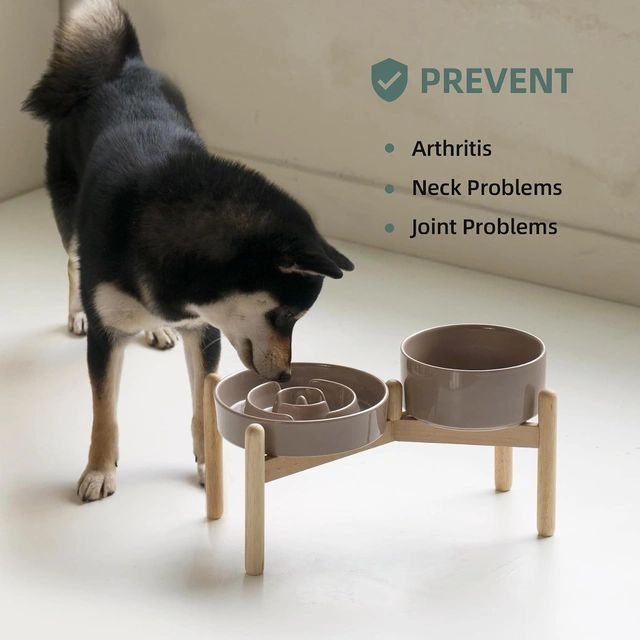 Click to view Havniva Elevated Slow Feeder Dog Bowls, 7.3 in Ceramic Set for Small Breeds