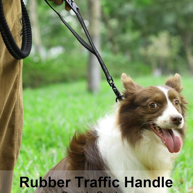Click to view ## Heavy Duty Dog Leash, 4–6 ft Shock-Absorbing Reflective Leash (Black)