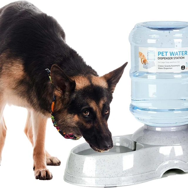 Click to view Whimsicalfox 3 Gallon Dog Water Dispenser for Large Dogs