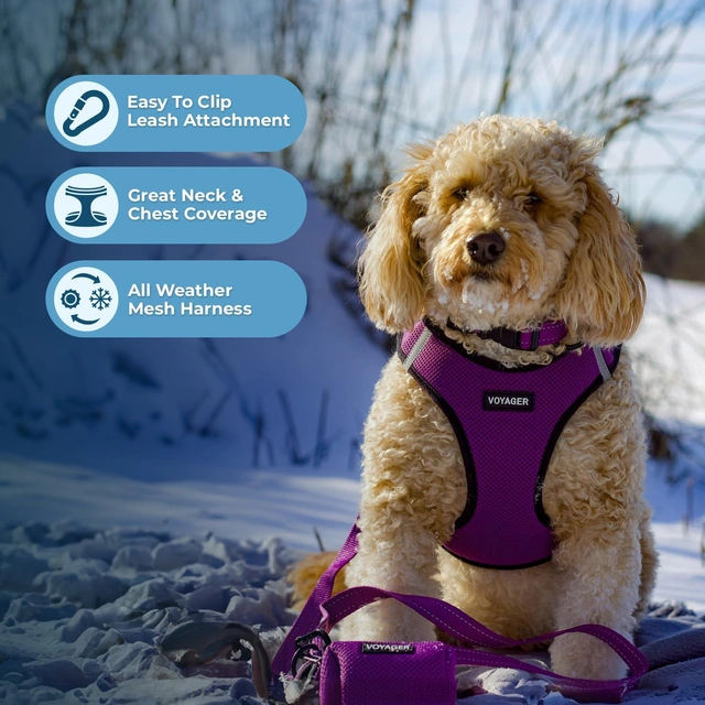 Click to view Voyager Step-in Air Dog Vest Harness - Purple/Black, Large