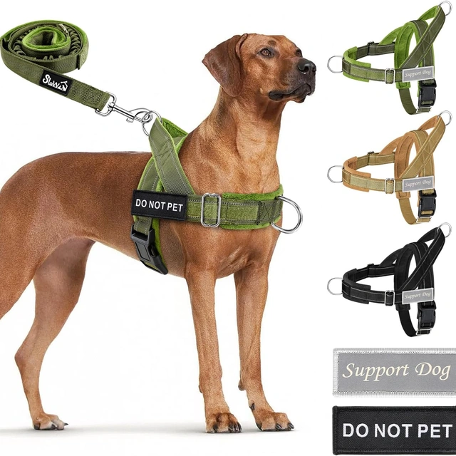 Click to view SlowTon No Pull Dog Harness and Leash Set - Heavy Duty, Soft Padded for Large Medium Dogs