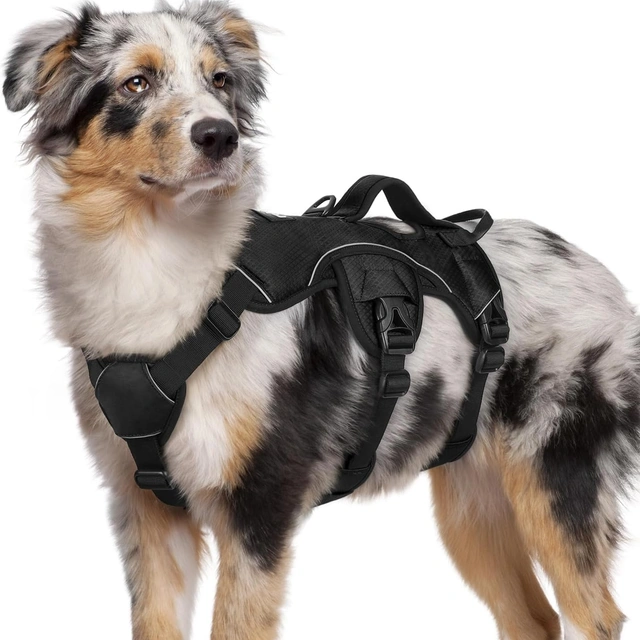 Click to view Rabbitgoo Escape Proof Dog Harness for Medium No Pull with Lift Handle