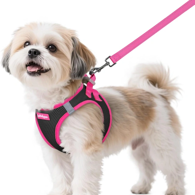 Click to view Rabbitgoo Dog Harness Small Size and Leash Set Step-in Soft Vest