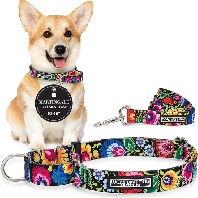 Click to view ## Lucky Love Dog Martingale Collar &amp; Leash Set No Slip – Blackbird, Small