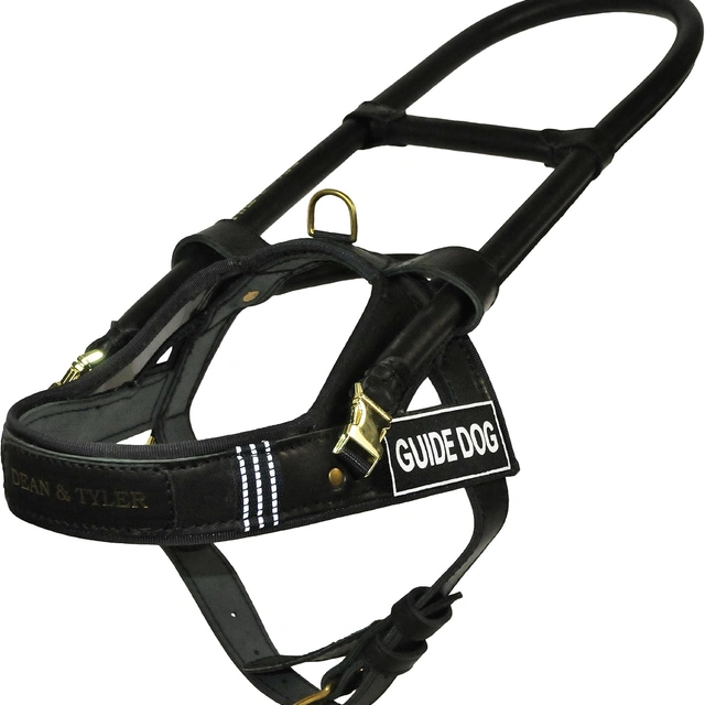 Click to view Dean &amp; Tyler DT Guide Leather Dog Harness with Brass Hardware and Reflective Trim