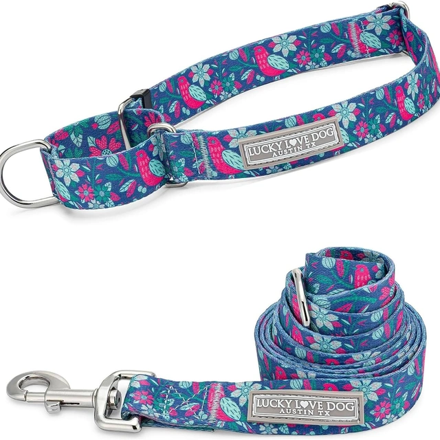Click to view Amazon.com : Lucky Love Dog Martingale Collar &amp; Leash Set No Slip – Carriebelle, Small | Martingale Collar and Leash Set for Small Dogs | No Slip Training Collar + Matching 5 ft Leash | Helps Save Shelter Dogs : Pet Supplies