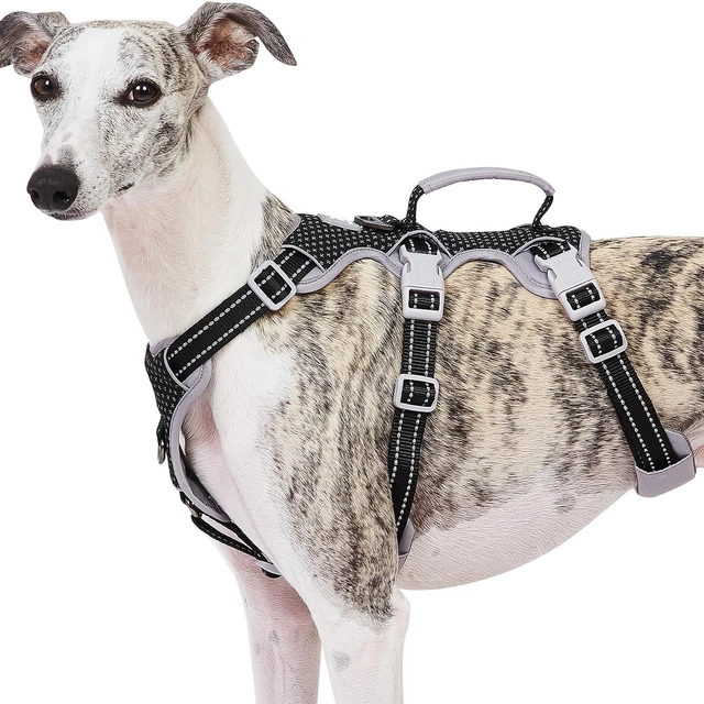 Click to view Huntboo Escape Proof Dog Harness No Pull Reflective with Lift Handle for Small to Large Dogs