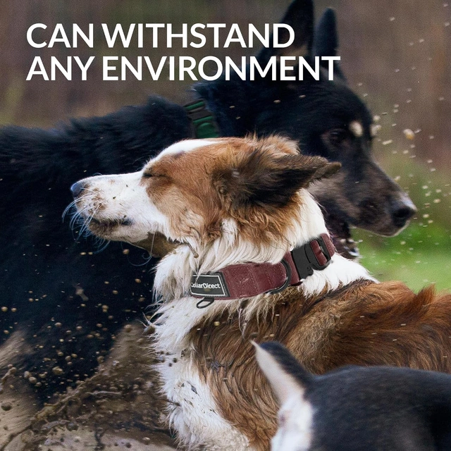 Click to view Heavy Duty Tactical Dog Collar for Large Dogs, Quick Release Metal Buckle