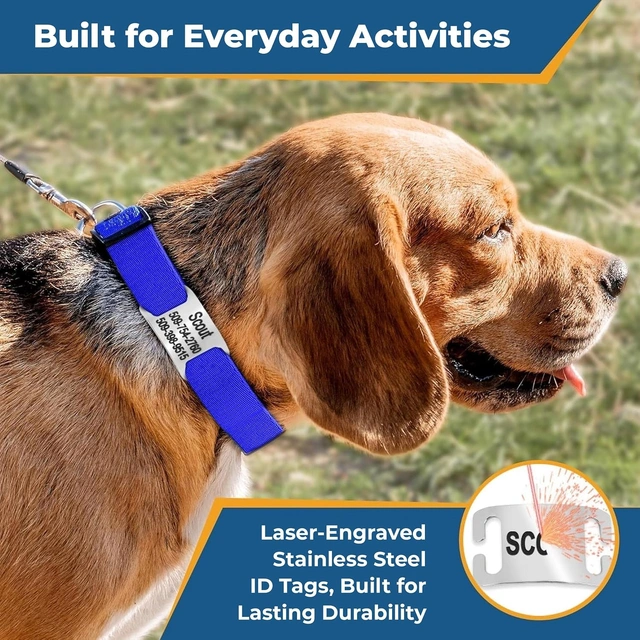Click to view ## GoTags Reflective Dog Collar with Personalized Nameplate, Tag Combo