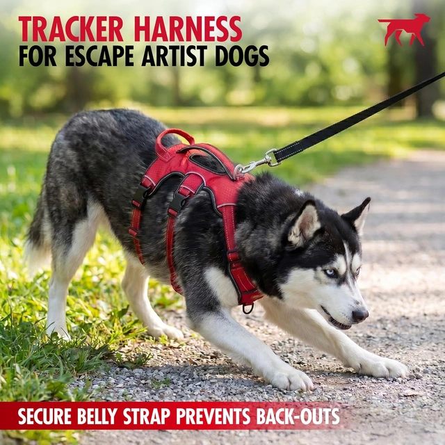 Click to view Tuff Pupper Escape Proof No Escape Dog Harness