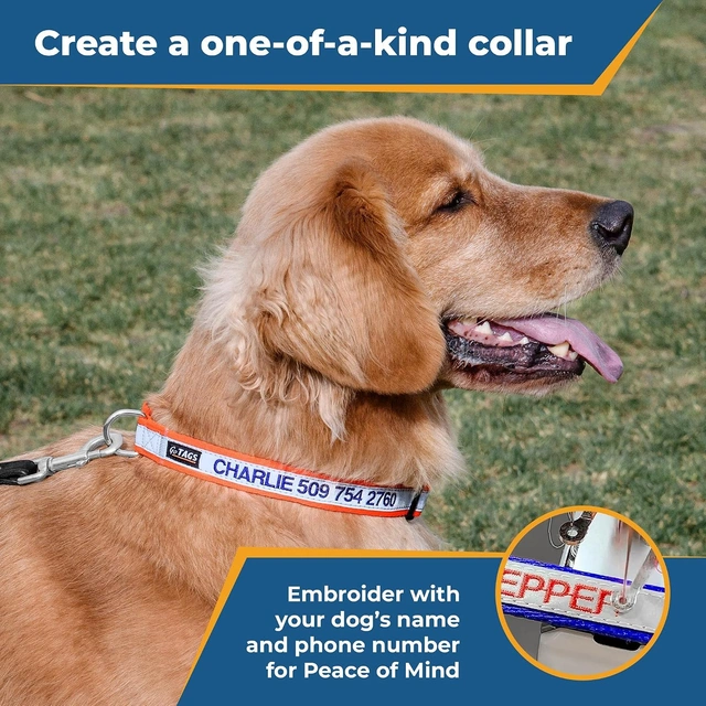 Click to view ## GoTags Reflective Personalized Dog Collar (Medium, Red)