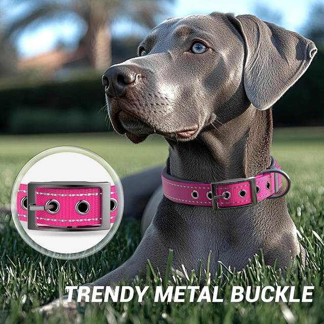 Click to view ## Personalized Reflective Dog Collar with Name &amp; Phone Number