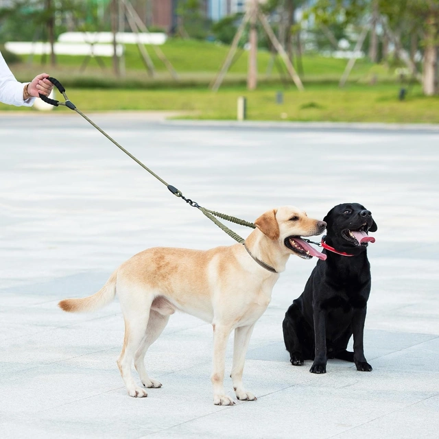 Click to view ## iYoShop Double Dog Leash, 360° Swivel, No-Tangle, Large, Military Green